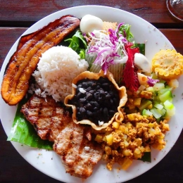 Casado Costarricense 🇨🇷