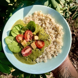 Palak tofu