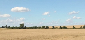 Katarzyna W
