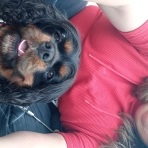 image broken